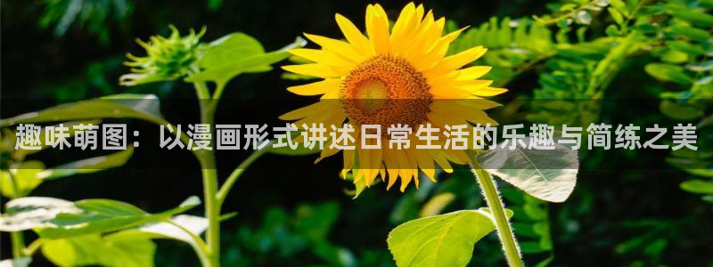 天顺娱乐