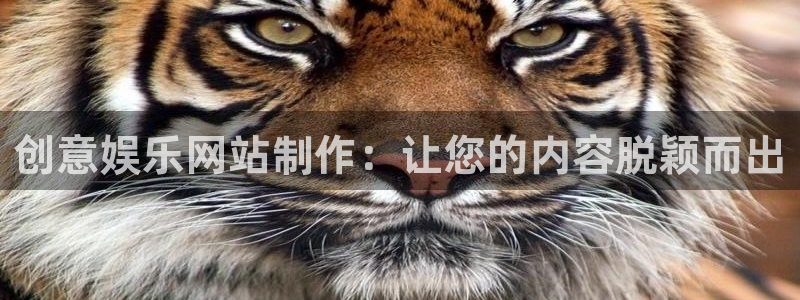 天顺娱乐