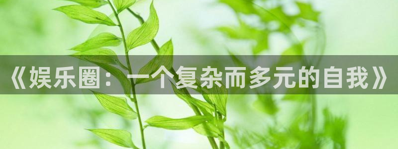 天顺娱乐