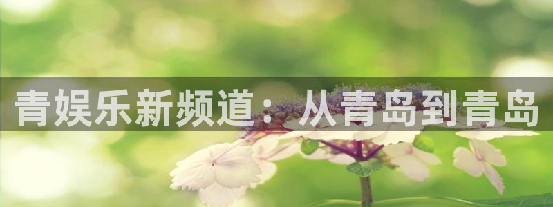 天顺娱乐
