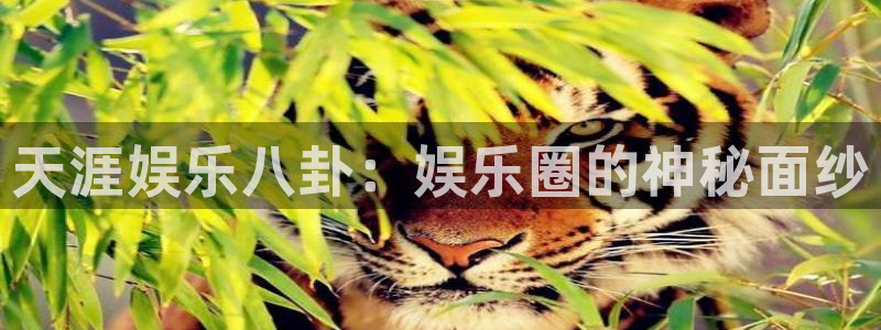 天顺娱乐