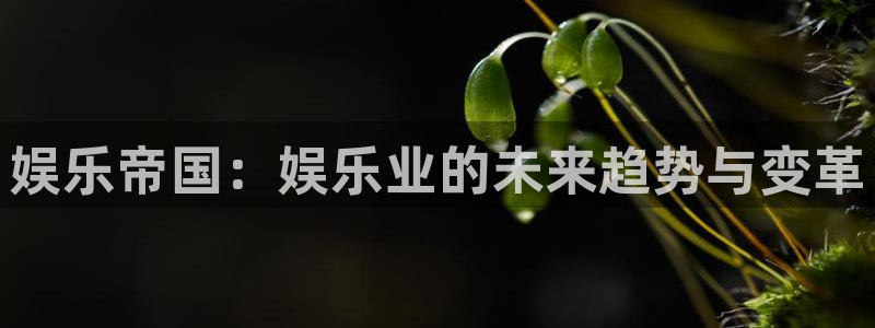 天顺娱乐
