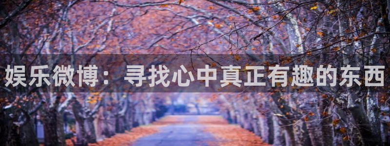 天顺娱乐
